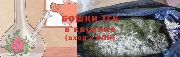 хмурый Аркадак