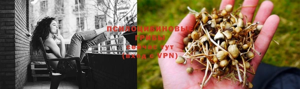 spice Арсеньев