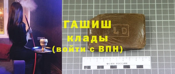 хмурый Аркадак