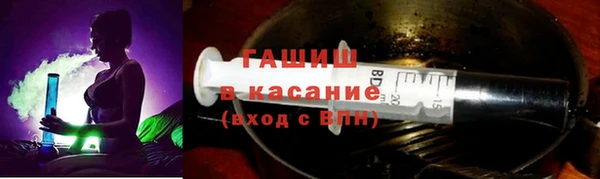хмурый Аркадак