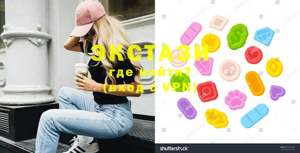 хмурый Аркадак